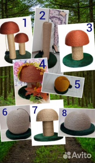 Когтеточка