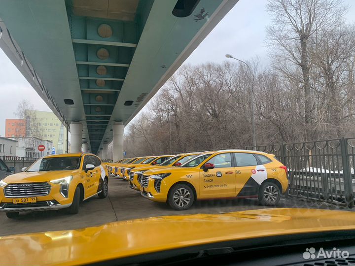 Водитель Haval 2022 выплата ежедневно