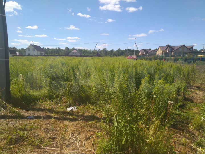 Участок 15 сот. (ИЖС)