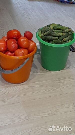 Огурцы домашние, помидоры