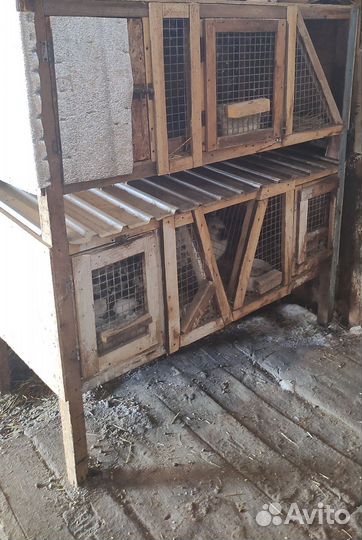 Клетка для кроликов