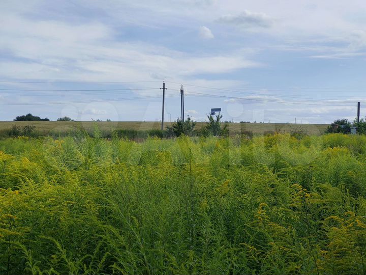 Участок 15 сот. (ИЖС)