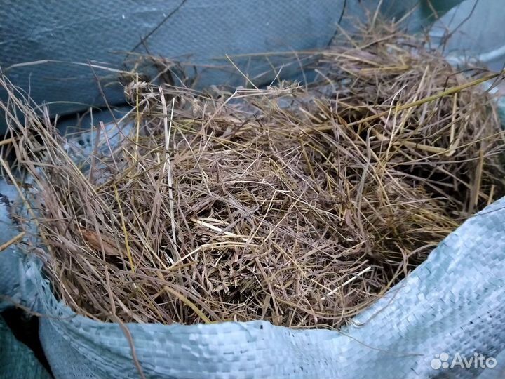 Солома и сено 2023г Новый урожай