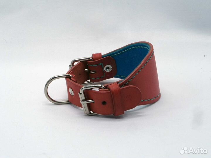 Ошейники для собак любых пород