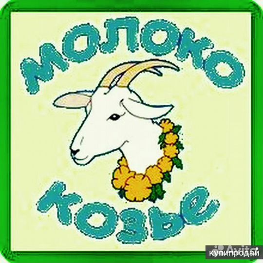 Козье молоко и творог