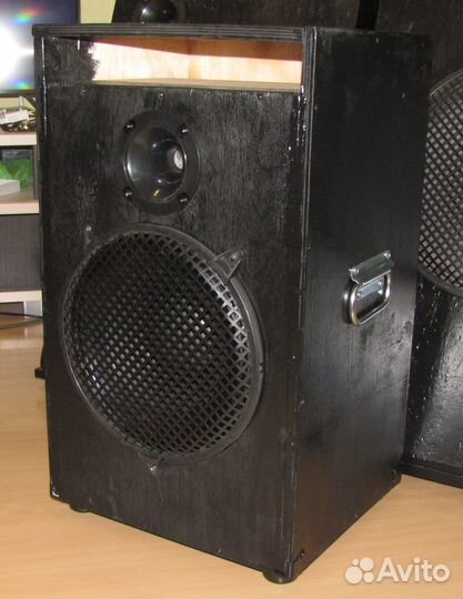 Колонка Frank Audio 1000W Pro-12