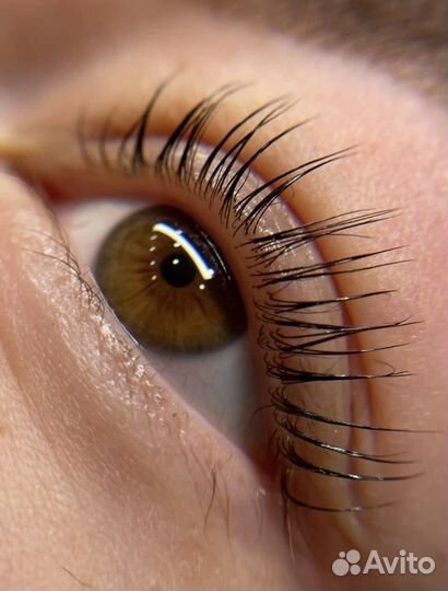 Ламинирование ресниц+окрашивание+ботокс