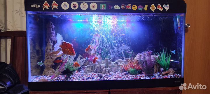 Аквариум
