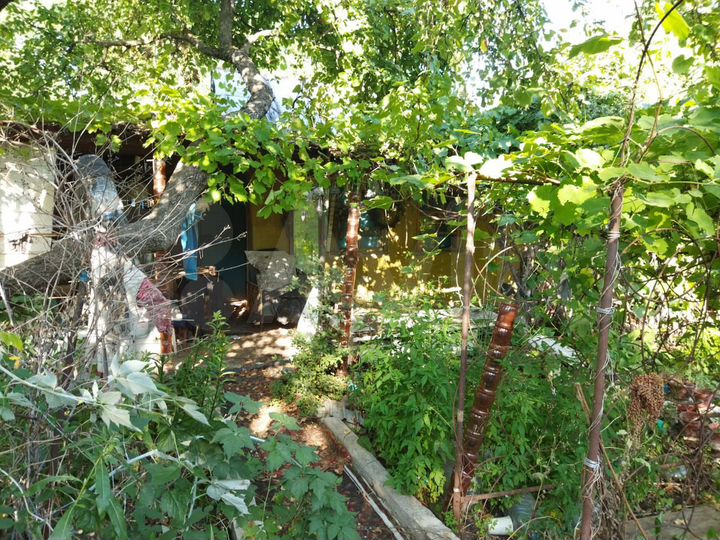 Дача 20 м² на участке 9,2 сот.