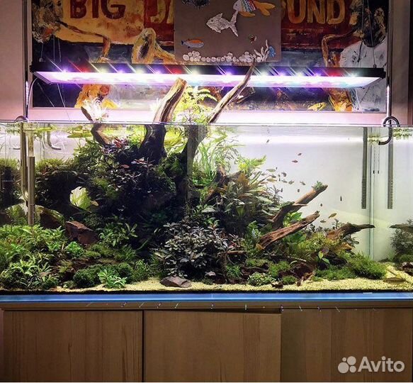 Светильники для пресных аквариумов