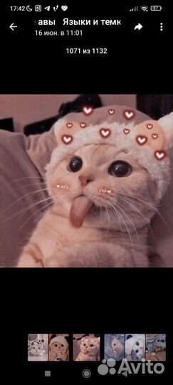 Очень красивые плокаты