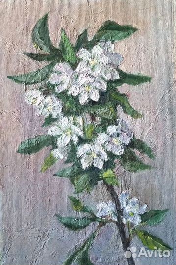 Картины натюрморт цветы букет незабудки вьюнки