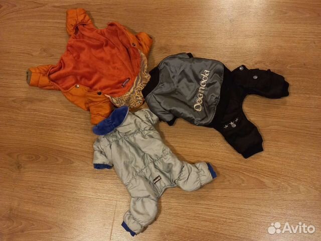 Одежда для маленьких пород собак