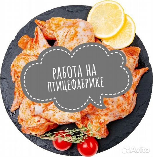 Разнорабочий на птицефабрику в Невинномысск