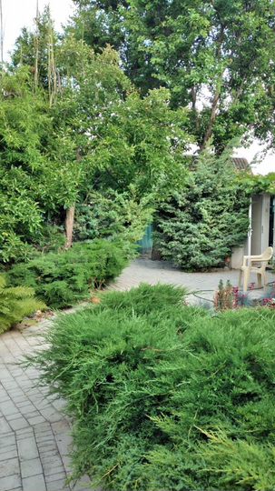 Комната 16 м² в 1-к., 1/1 эт.