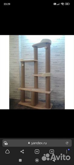 Когтеточка