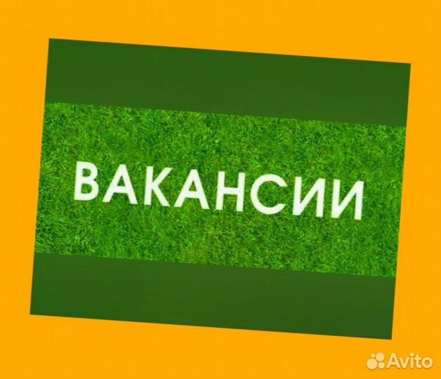 Фасовщик вахтой Жилье +еда Выплата еженед. /Отл.Ус