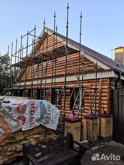 Аренда клиновых лесов