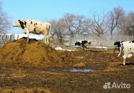 Навоз перегной в мешках и валом