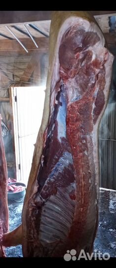 Мясо свинина домашняя
