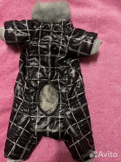 Зимний комбинезон для маленькой собаки