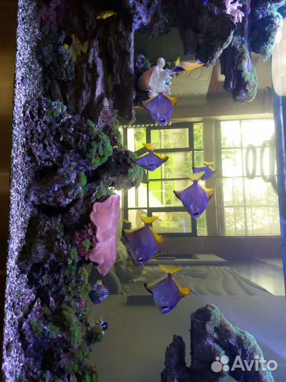 Обслуживание аквариумов