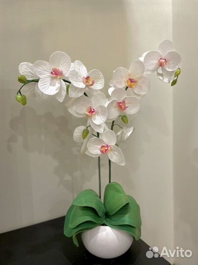 Орхидея