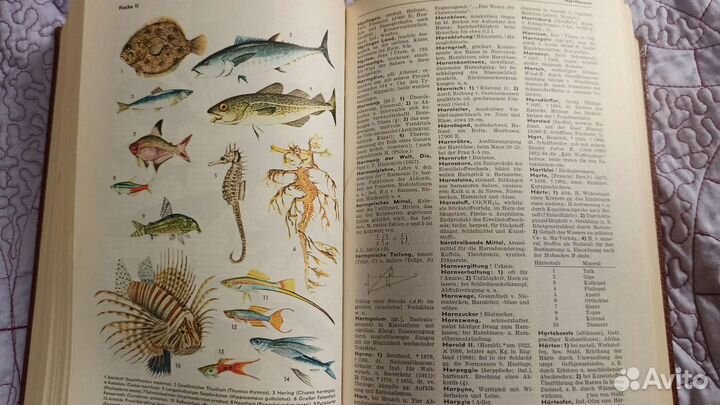 Словарь знаний Майера на немецком языке