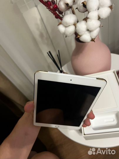 iPad mini 3 64gb wi fi