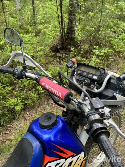 XR250 baja