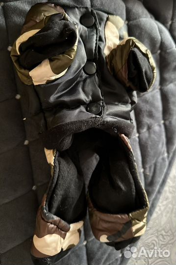 Одежда для собак мелких пород