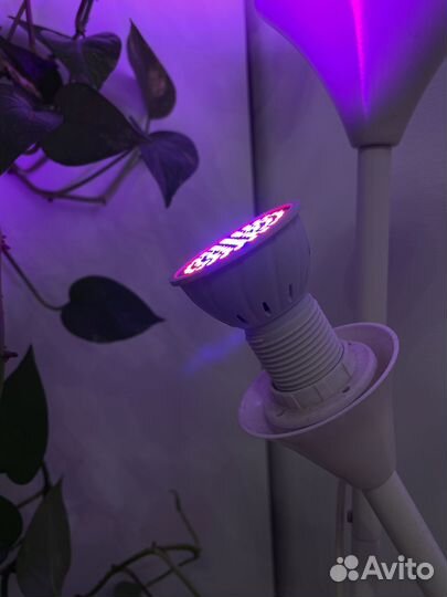 Лампа светодиодная