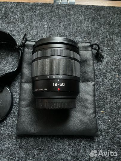 Panasonic lumix 12-60