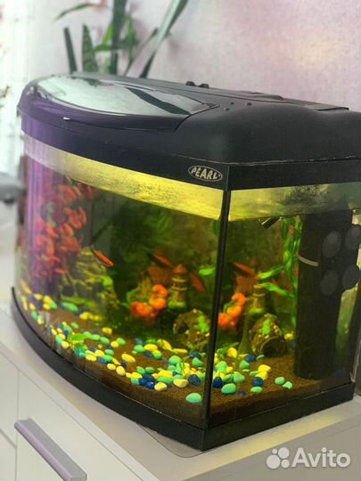 Аквариум