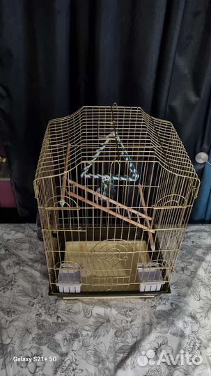 Клетка для попугая корелла
