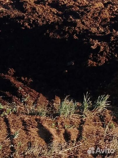 Доставка перегноя