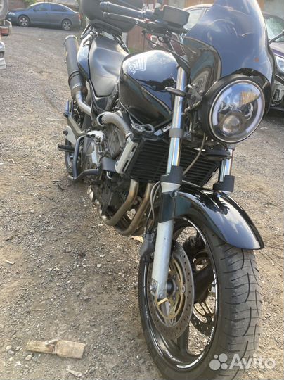 Honda cb600 Hornet