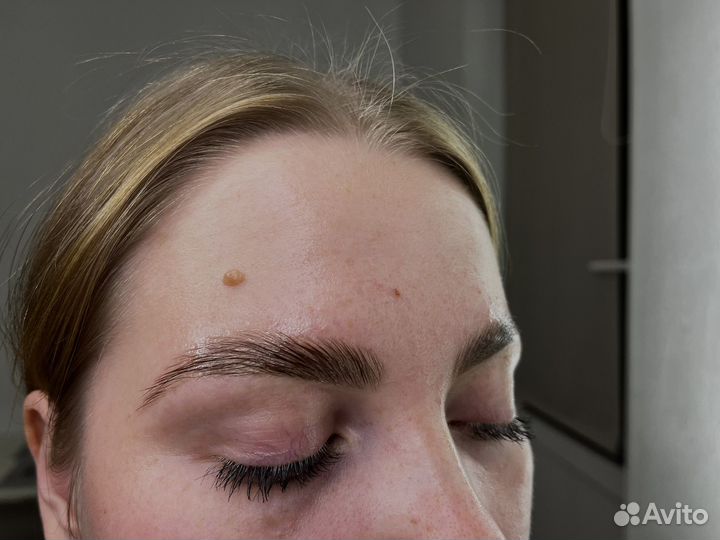 Мастер бровист