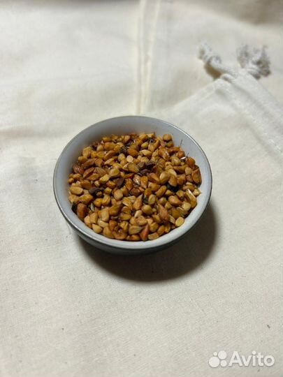 Семена Шиповник Турецкий