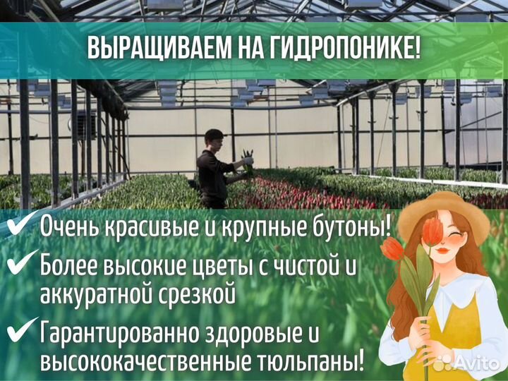 Тюльпаны оптом к 8 марта