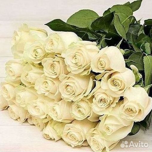 51 Роза, Букеты Цветы Розы 25 101 501 1001