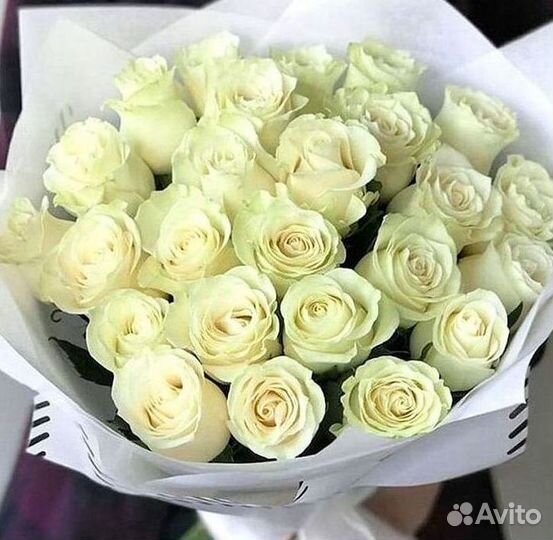 Высокие розы 150 160 170 180 190см доставка Москва