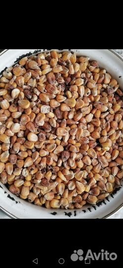 Корма для сельхоз животных и птиц