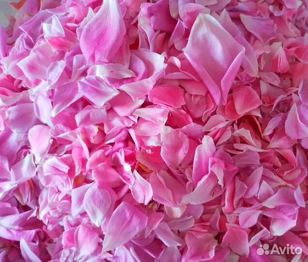 Домашнее варенье тутовник, малина, роза, ч.смород