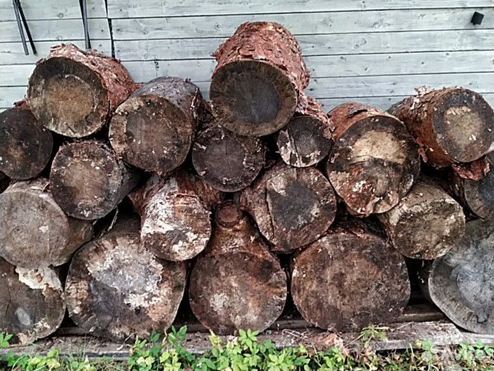 Колода для колки дров