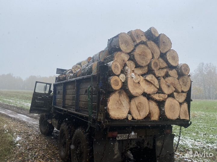 Продам Дрова Береза
