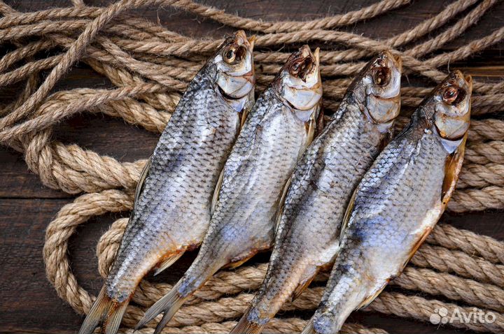 Астраханская вяленая вобла