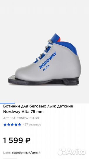 Лыжные ботинки