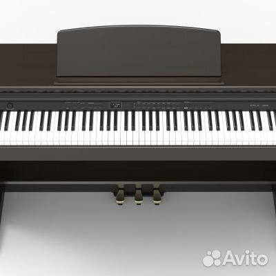 Orla CDP-101-rosewood Цифровое пианино, палисандр