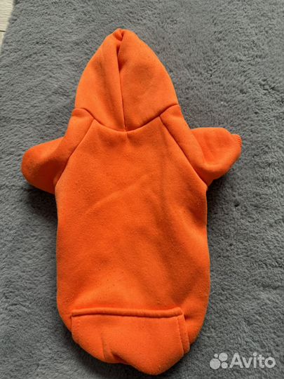 Одежда для кошек